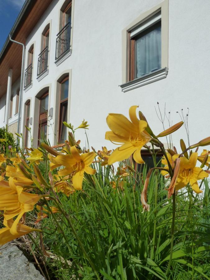 Ferienwohnungen Am Buechlhof Im Oberpfaelzer Seenland Neunburg vorm Wald Exterior photo